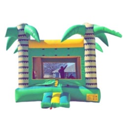 Palm Tree Fun Bounce House 20x20